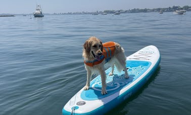 PaddleBoard Rental in Harbor Point, Connecticut  (2 available for rent)