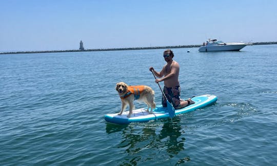 PaddleBoard Rental in Harbor Point, Connecticut  (2 available for rent)