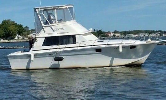 Silverton - 37ft Convertible Motor Yacht in Miami