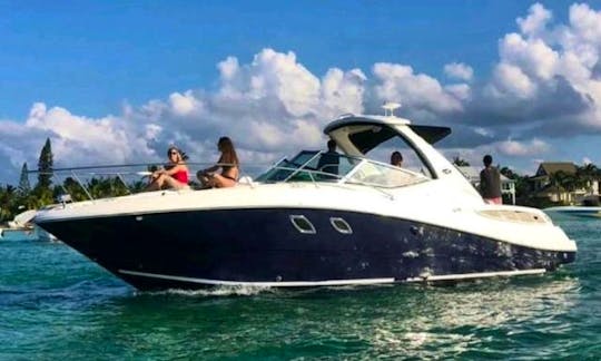 31ft SeaRay Sundancer Luxury Boat Chartering in Grand Cayman
