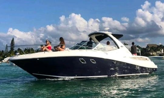 Alquiler de barcos de lujo SeaRay Sundancer de 31 pies en Gran Caimán