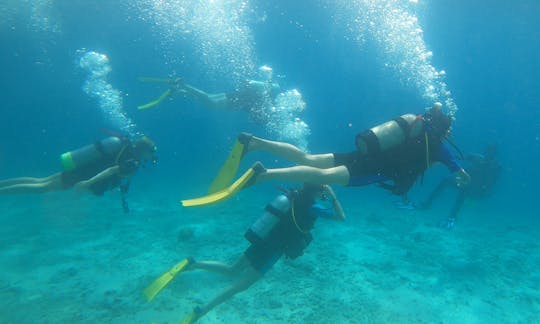 FAMILY SCUBA TIMES!