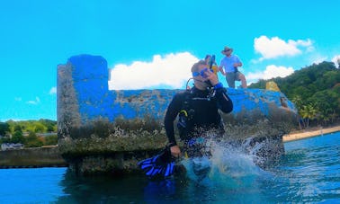 Mergulhos guiados em terra em Bonaire