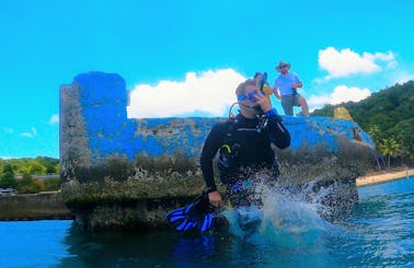 Guided shore dives in Bonaire