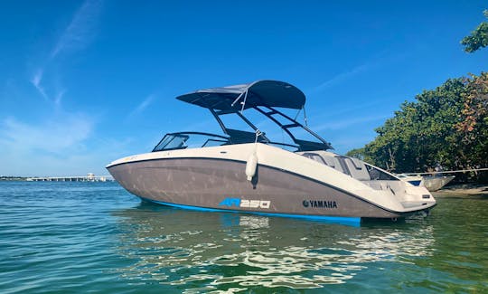 New 25' Yamaha Speedboat for up 10 people in Miami, Florida