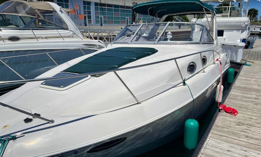 31' Regal Yacht in Chicago - Weekday discounts