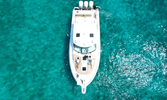Luxury Pursuit 40ft Yacht for 10 people island hopping in Cartagena de Indias