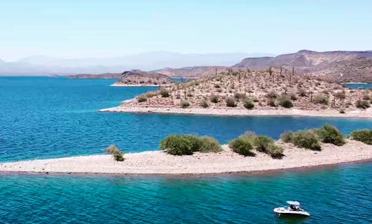 Book the Yamaha AR190 Powerboat in Lake Pleasant - Half or Full Day