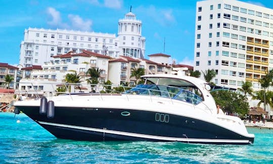Sea Ray Sundancer 44’ Motor Yacht for Cancun - Isla mujeres!