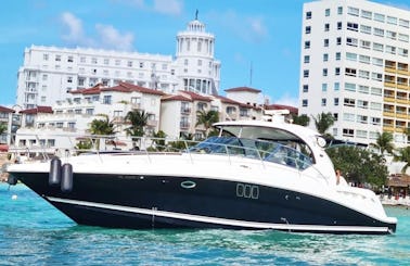 Sea Ray Sundancer 44’  Yacht for Cancun - Isla mujeres!