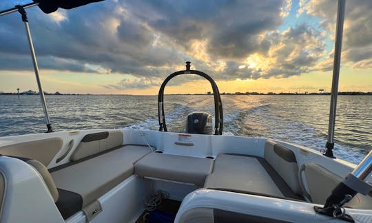 Bayliner Element E18 Sunset & Dolphin Tour - $45 per person