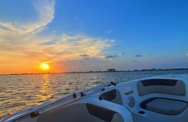 Bayliner Element E18 Sunset & Dolphin Tour - $45 per person