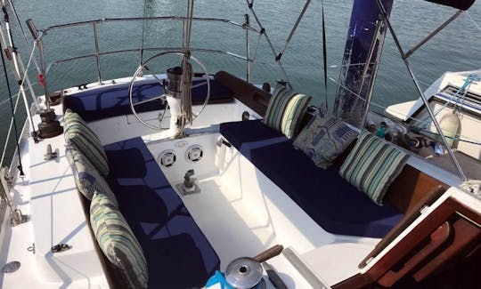 35ft Ericson Puerto Vallarta Sailing Charter for up to 8 people