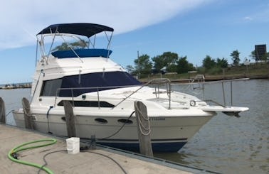 Charter this 35' Bayliner Motor Yacht in Grand Bend Beach
