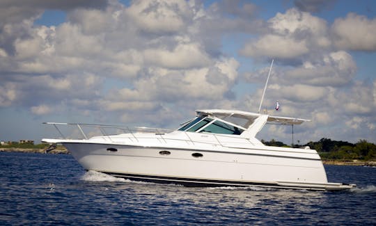 Yacht à moteur Sugar 40 à Casa de Campo La Romana