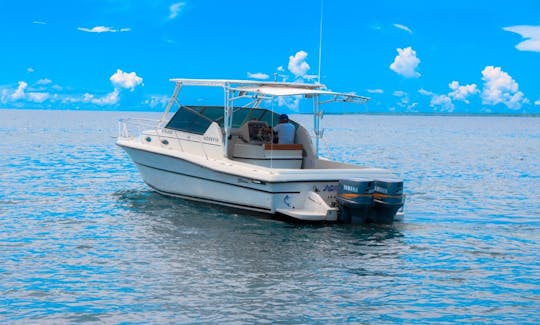 Scorpio 30 Motor Yacht for rent in Casa de Campo, La Romana