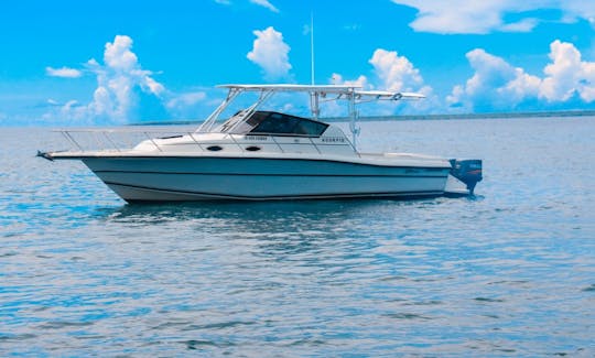 Scorpio 30 Motor Yacht for rent in Casa de Campo, La Romana