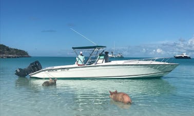 Explora las hermosas islas de las Bahamas