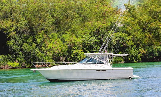 Lokal 31ft Motor Yacht In Country House, La Romana