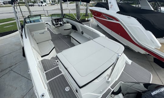 23' Chartered Sea Ray Bowrider Sarasota Siesta Key