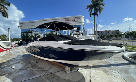 23' Chartered Sea Ray Bowrider Sarasota Siesta Key