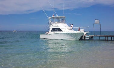 Book the 35ft Cabo Motor Yacht for up to 8 people in Puerto Vallarta, Jalisco