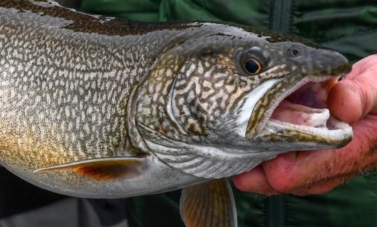 Guided Fishing — Lake Placid