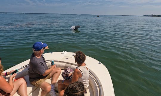 Guided Private Dolphin Tour in Hilton Head Island, South Carolina