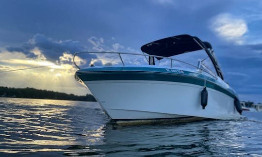 Wellcraft 23ft. Fast, Comfortable & Entertaining Lake Wylie