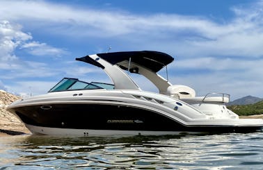 Enjoy the day on this beauty - 28’ yacht certified boat. Seats up to 12