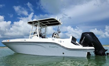 Alquiler de consola central Bayliner Trophy T22 en Holmes Beach, Florida