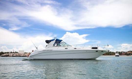 Sea Ray Sundancer 42' avec tout compris à Tulum