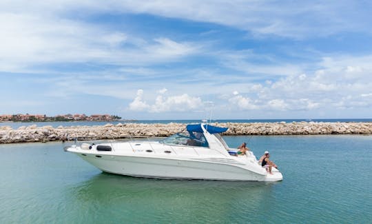 Sea Ray Sundancer 42' avec tout compris à Tulum