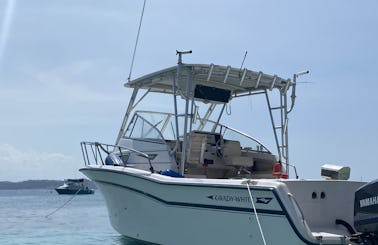Grady White 30ft Boat Trips/Charters in Fajardo