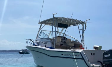Grady White 30ft Boat Charter/Tour for Icacos and Palomino