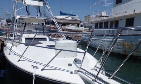 Contender 35- Barco de pesca a Isla Espíritu Santo y Balandra