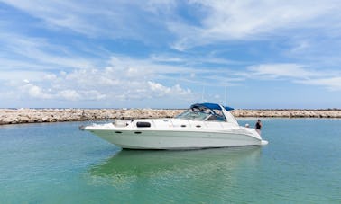 Sea Ray Sundancer 42’ Motor Yacht with all Inclusive in Puerto Aventuras, Quintana Roo