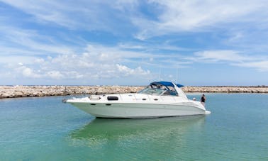 Yate a motor Sea Ray Sundancer de 42 pies con todo incluido en Puerto Aventuras, Quintana Roo