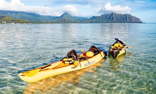 Increíble experiencia de kayak autoguiado en Kaneohe Bay Sandbar