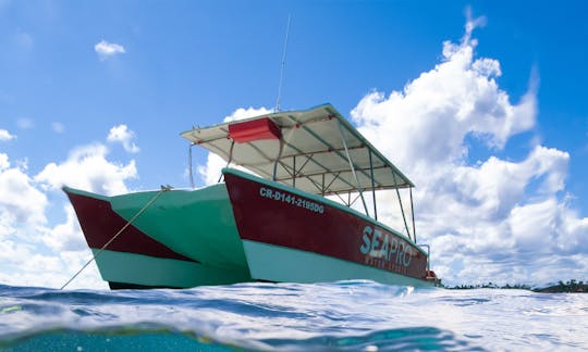 ドミニカ共和国、プンタカナの小型カタマランボート