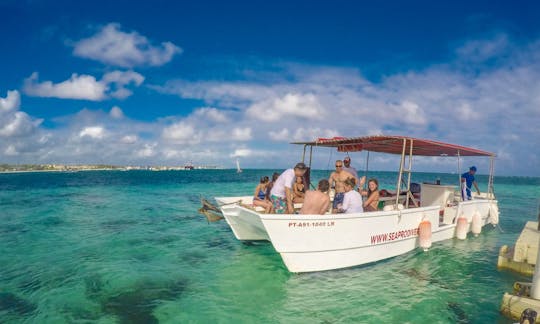 Small Catamaran Boat In Punta Cana, Dominican Republic