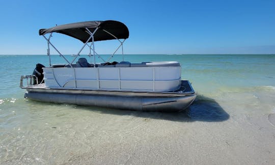 Bentley 200 Pontoon for 12 people in Miami Beach , Florida