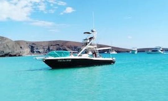 Contender 35- Barco de pesca a Isla Espíritu Santo y Balandra