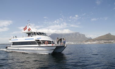 Catamarã a motor de luxo Sea Princess para aluguel de fretamento particular na Cidade do Cabo