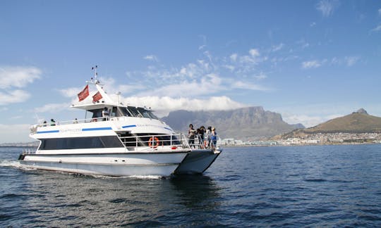 Sea Princess Luxury Motor Catamaran for Private Charter Hire in Cape Town