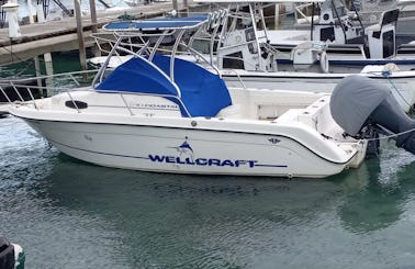 Rent a Wellcraft Walkaround 23ft Boat!