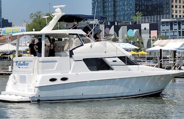 44ft Luxurious Cruising Motor Yacht Jersey City, Brooklyn, Hoboken