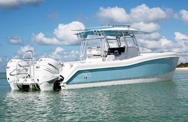 Endless Summer! POWERFUL & FUN Renaissance Prowler 31' For Sightseeing, Sunset, Fishing Or Cruising Charter In Naples & Marco Island!