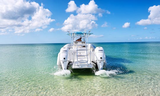 Endless Summer! POWERFUL & FUN Renaissance Prowler 31' For Sightseeing, Sunset, Fishing Or Cruising Charter In Naples & Marco Island!