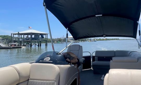Alquiler de pontones y barcazas Sun Tracker's Party en Santa Fe Lake, Melrose FL